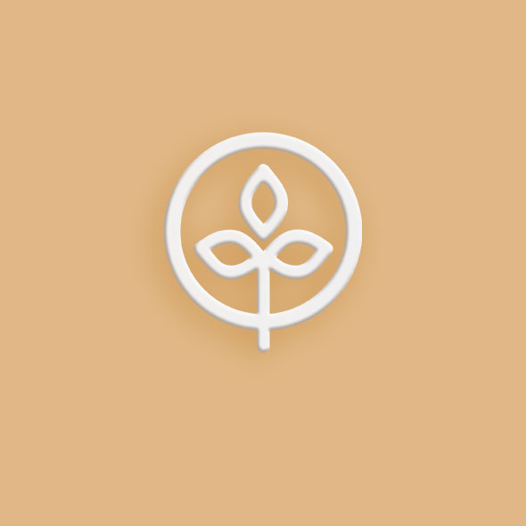 Falzfolder gestalten lassen